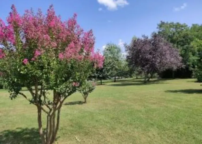 Сasa de vacaciones Du Mandarin Arrouede