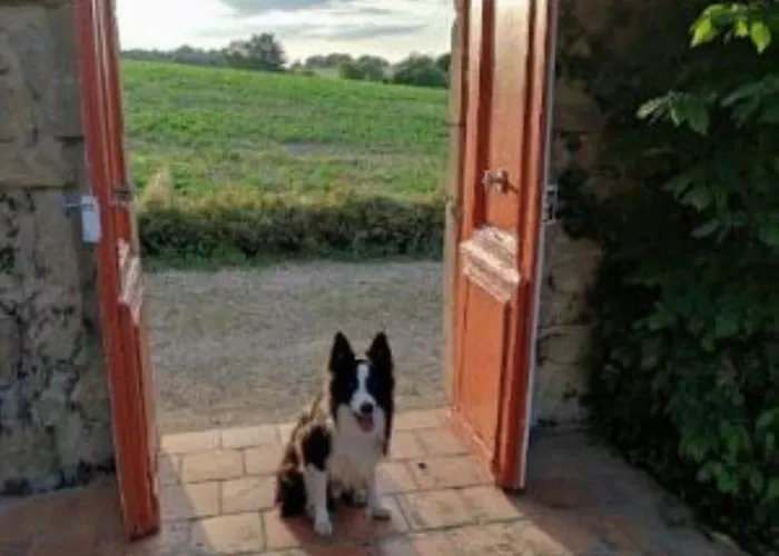 Du Mandarin Сasa de vacaciones *